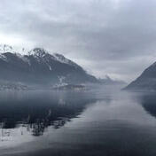 likes (142) cmnts (4)